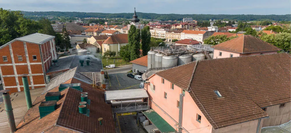 Pivovara Daruvar Promo